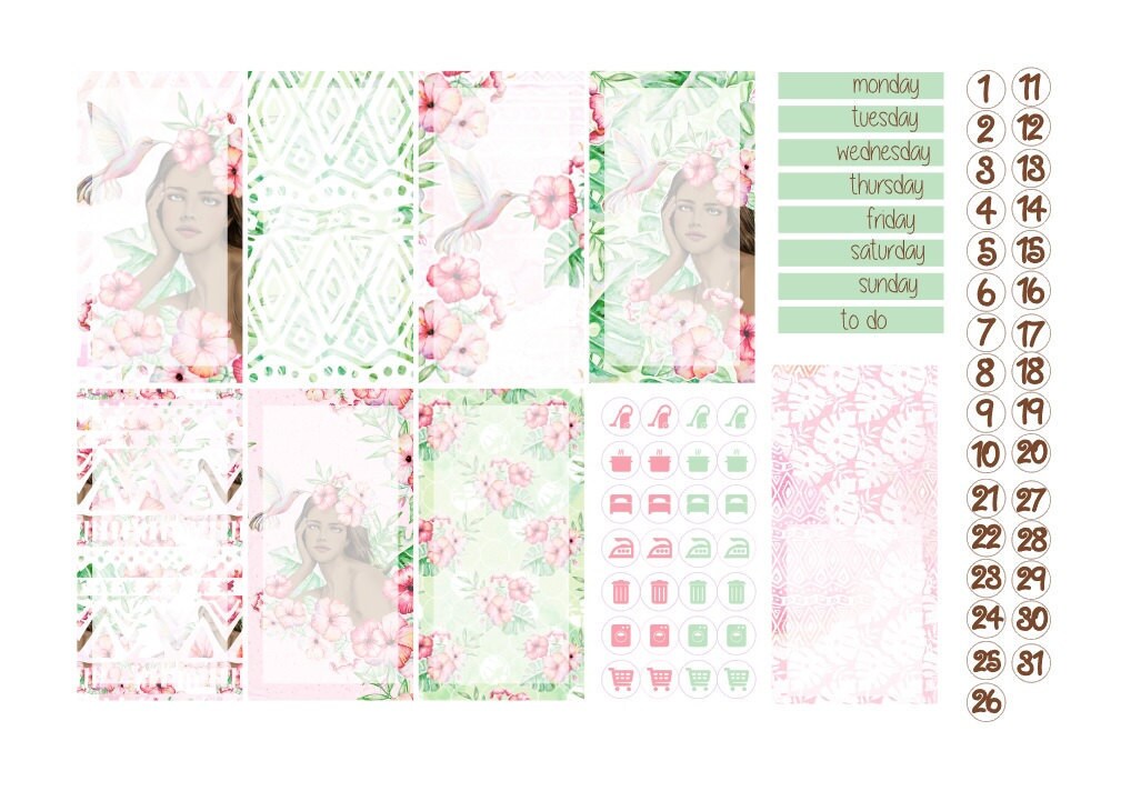 TN regular boxes sticker kits 2