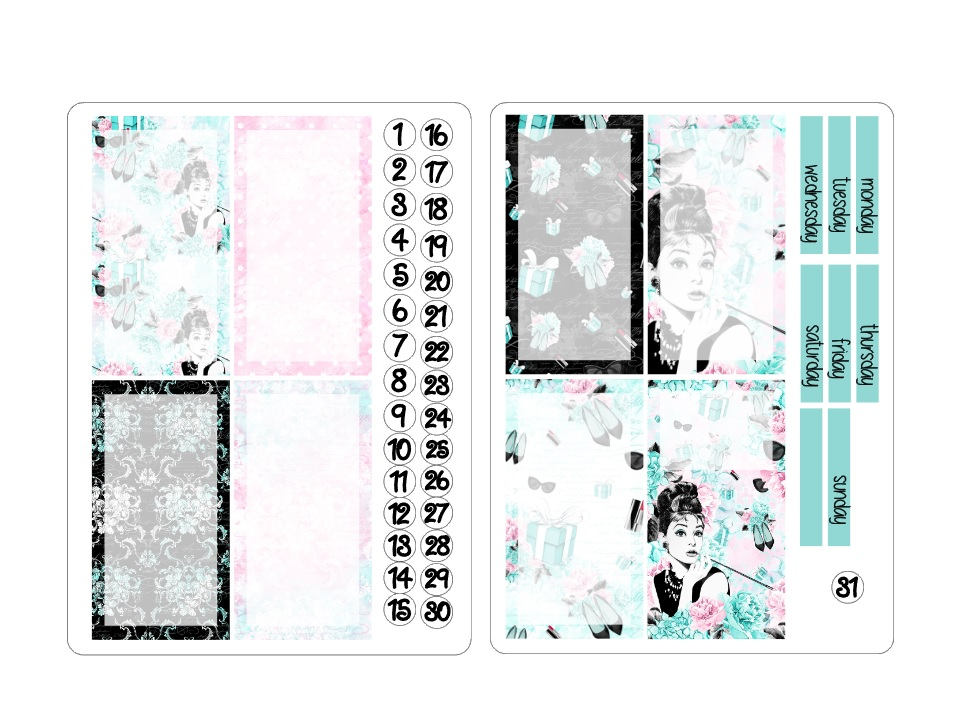 TN regular boxes sticker kits 1
