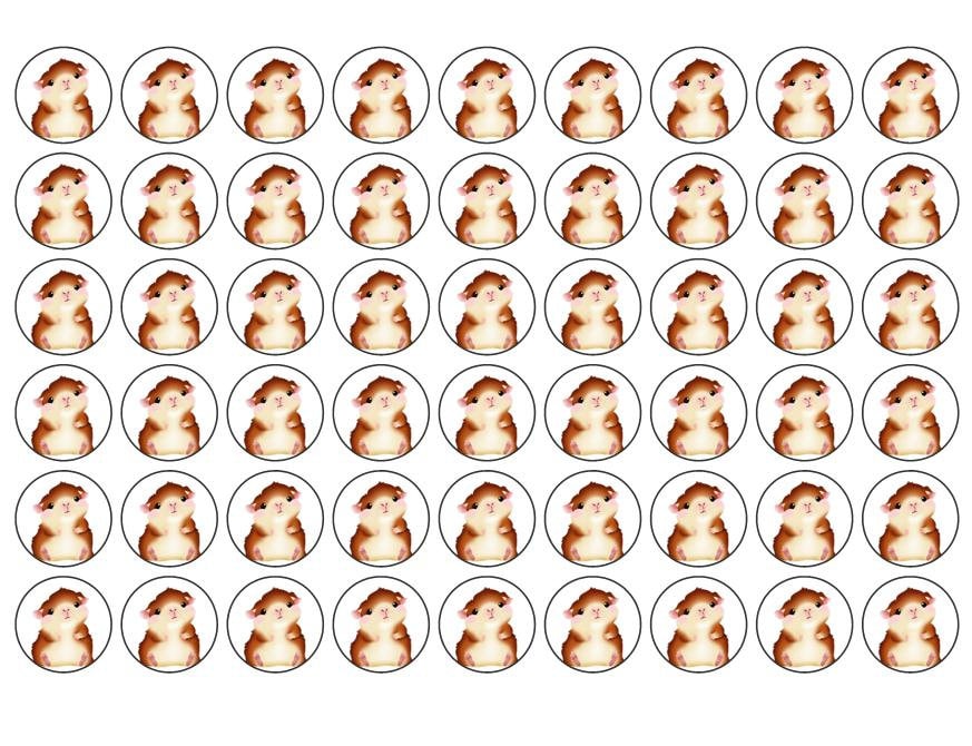 117 Hamster, Barbeque stickers, Guinea Pigs, Paws, cat bath