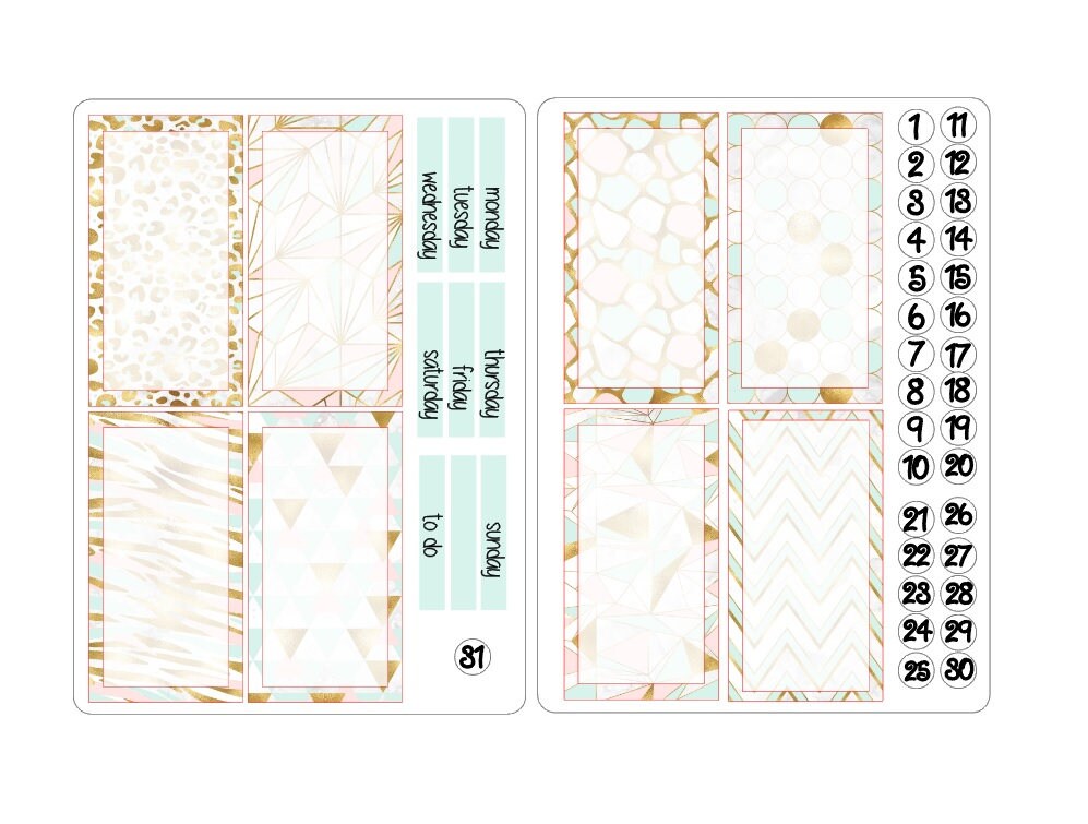 TN regular boxes sticker kits 5