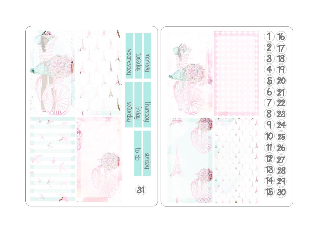 TN regular boxes sticker kits 6