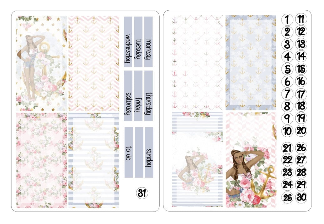 TN regular boxes stickers kits 4