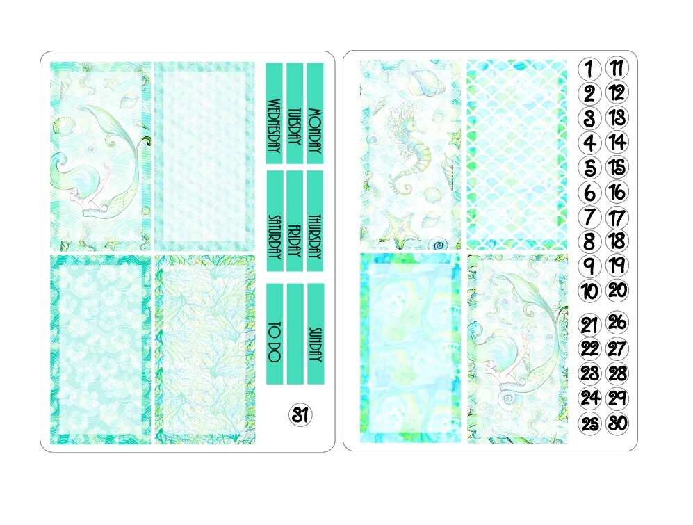 TN regular boxes sticker kits 5