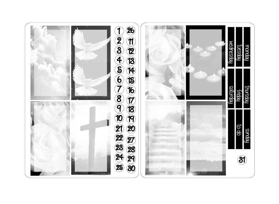 TN regular boxes sticker kits 6