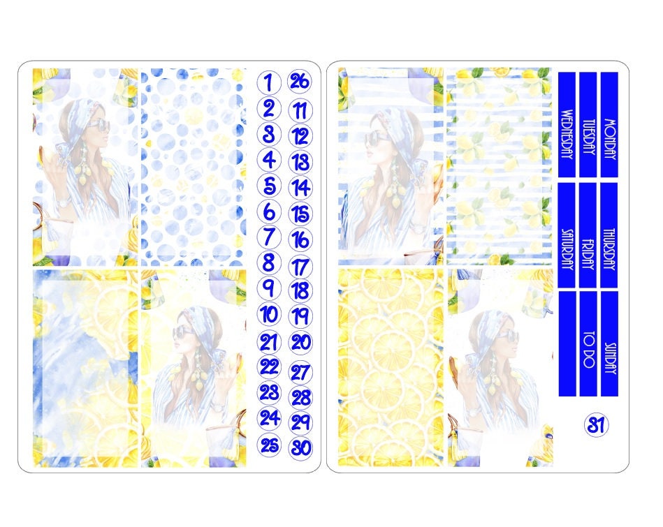 TN regular boxes sticker kits 5