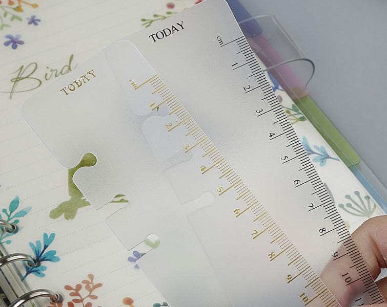 Ringbound rulers transparent/gold