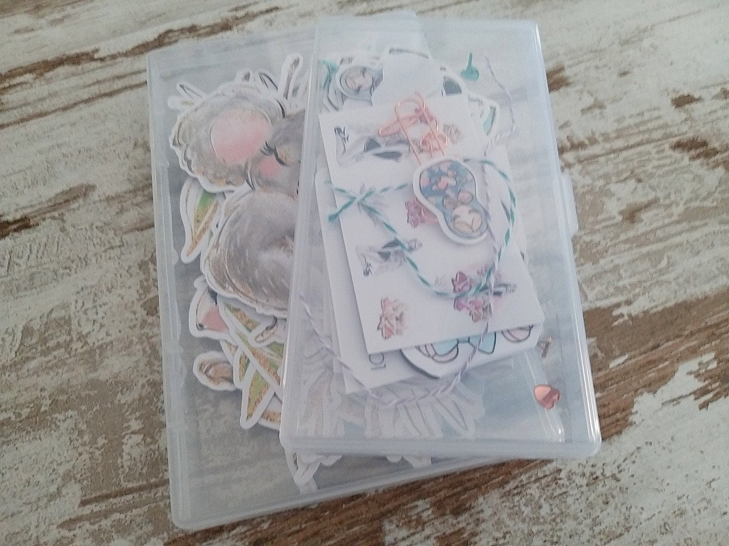 Ephemera / Die cuts storage set