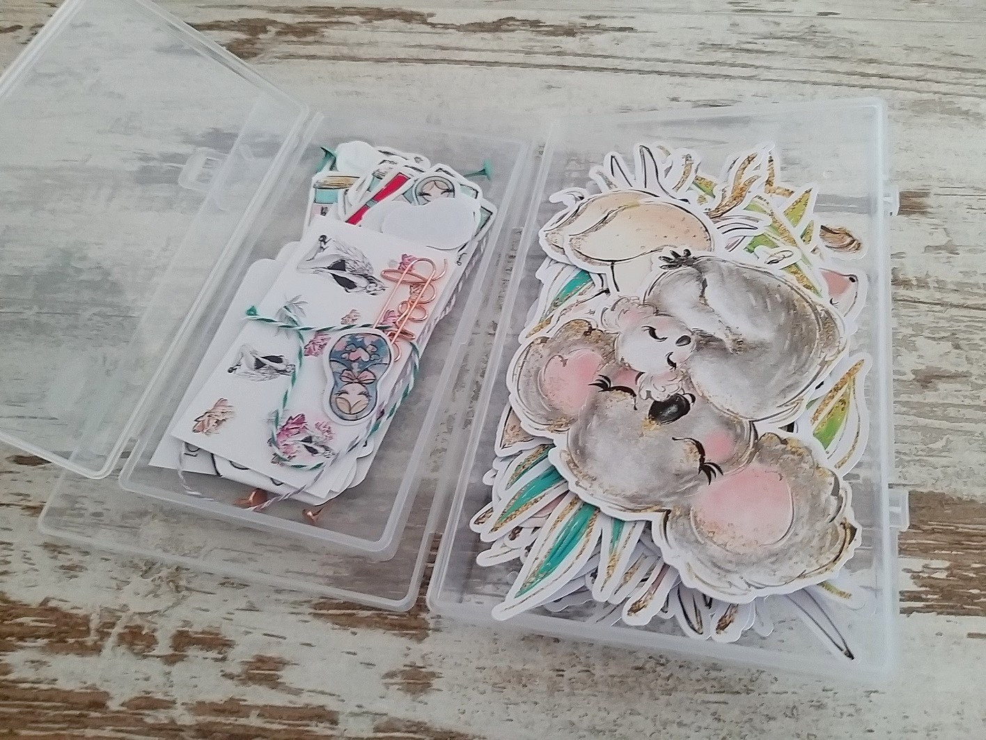 Ephemera / Die cuts storage set