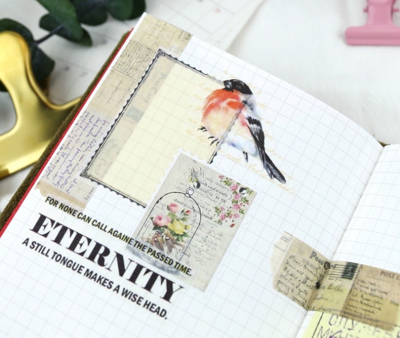 TN passport inserts blanco, ruled, grid, dots and craft