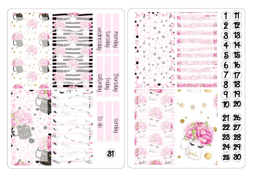 TN regular boxes stickers kits 4