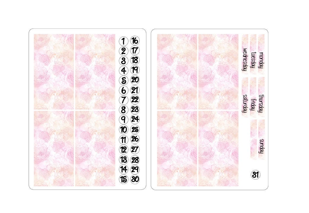 TN regular boxes stickers kits 3