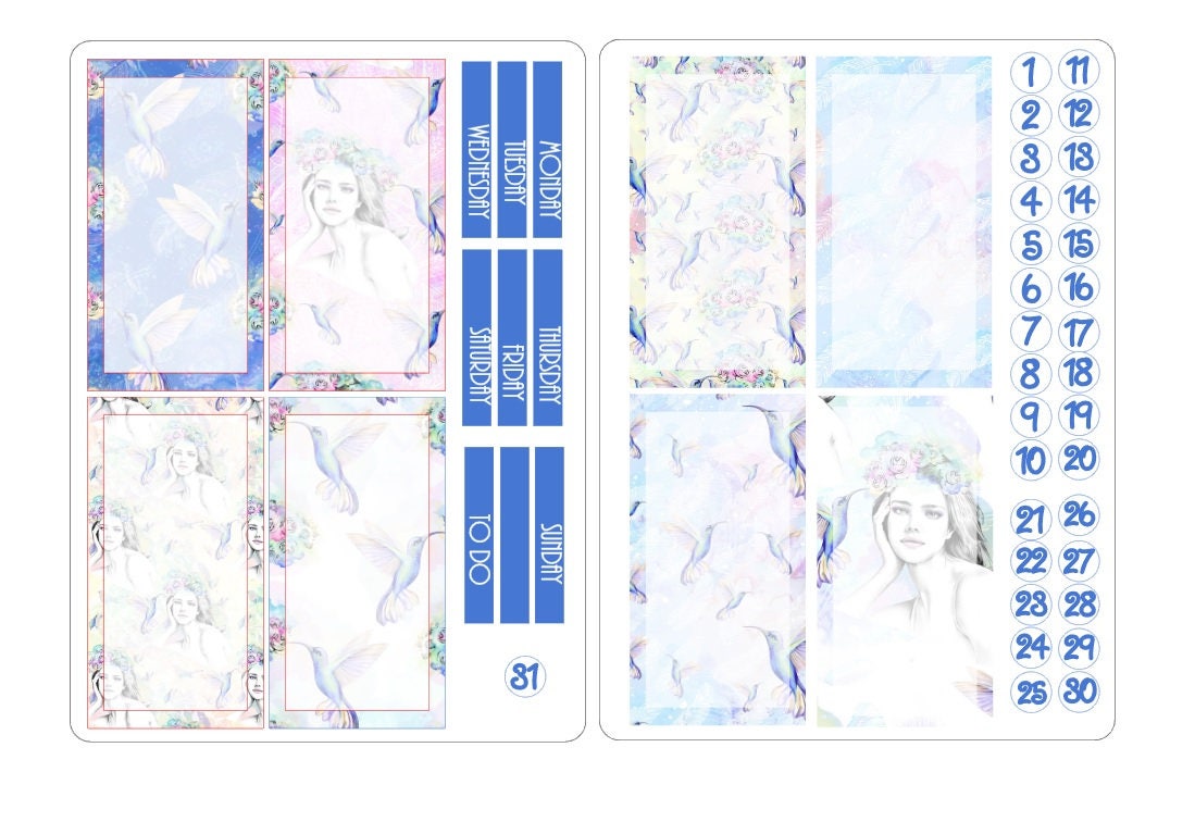 TN regular boxes sticker kits 6