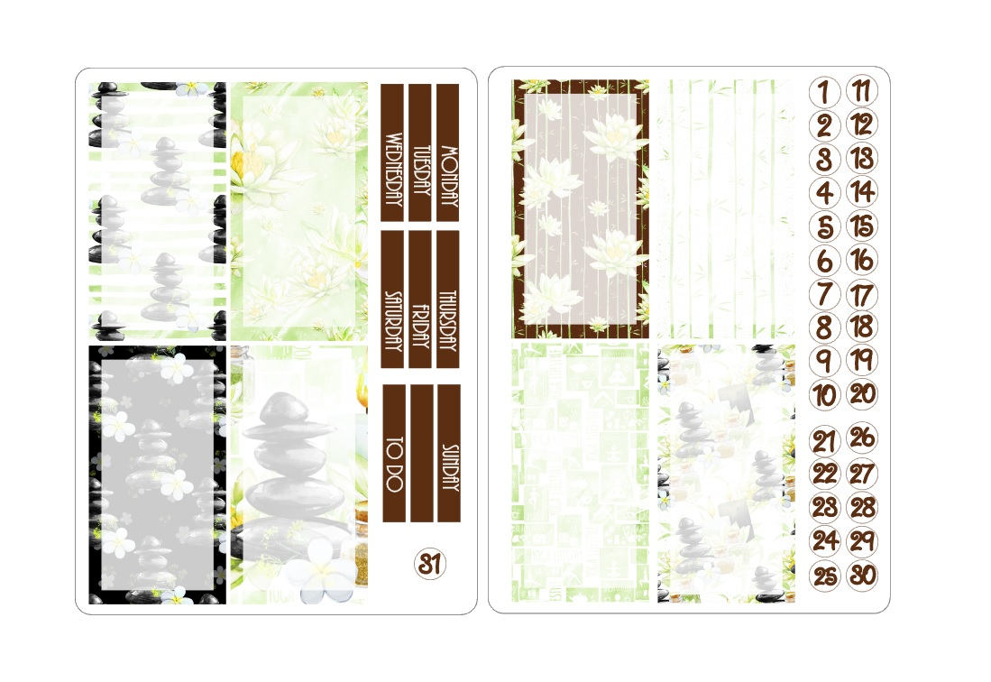 TN regular boxes sticker kits 6