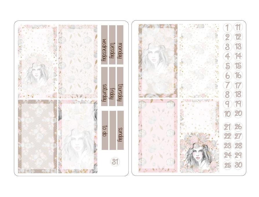 TN regular boxes stickers kits 4