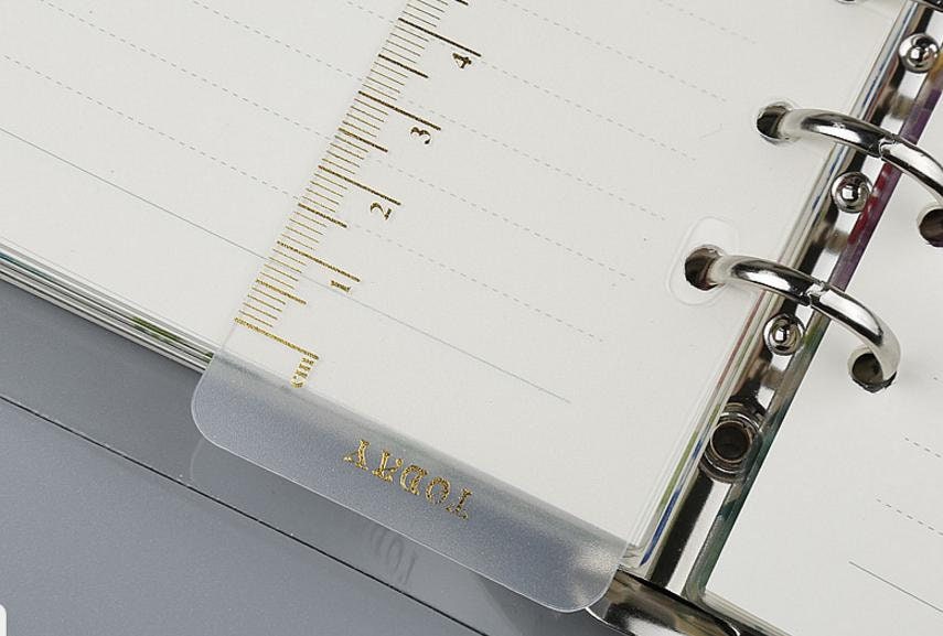 Ringbound rulers transparent/gold