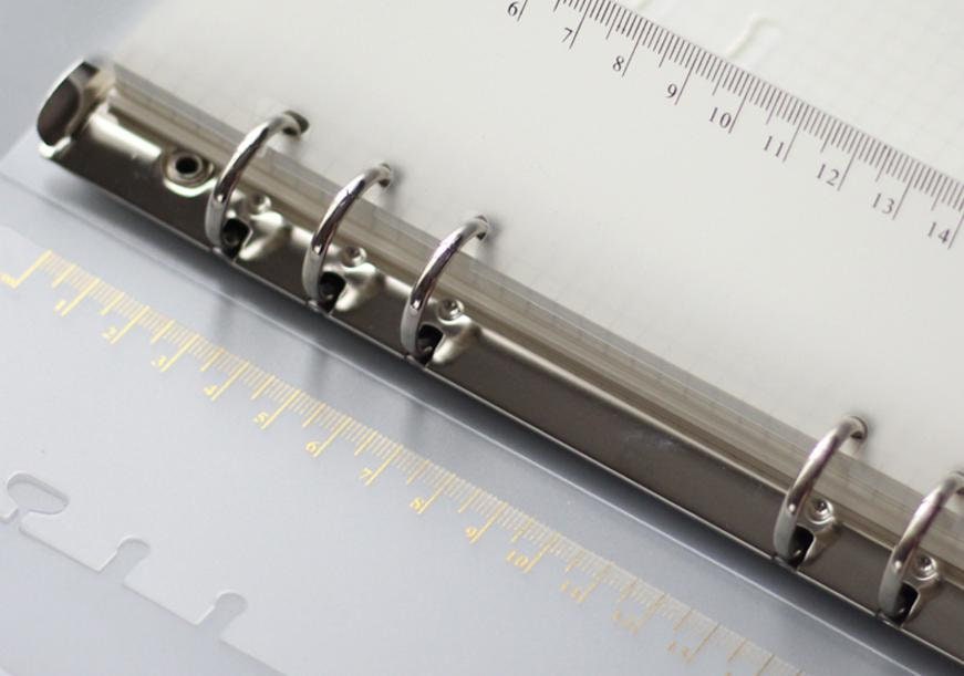 Ringbound rulers transparent/gold