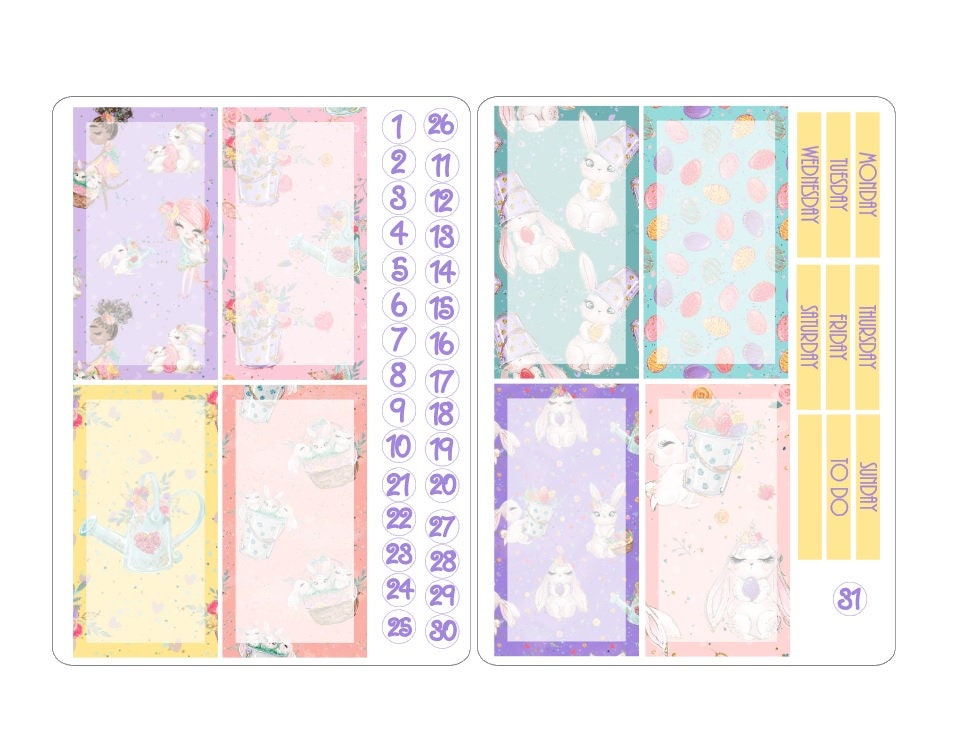 TN regular boxes sticker kits 1
