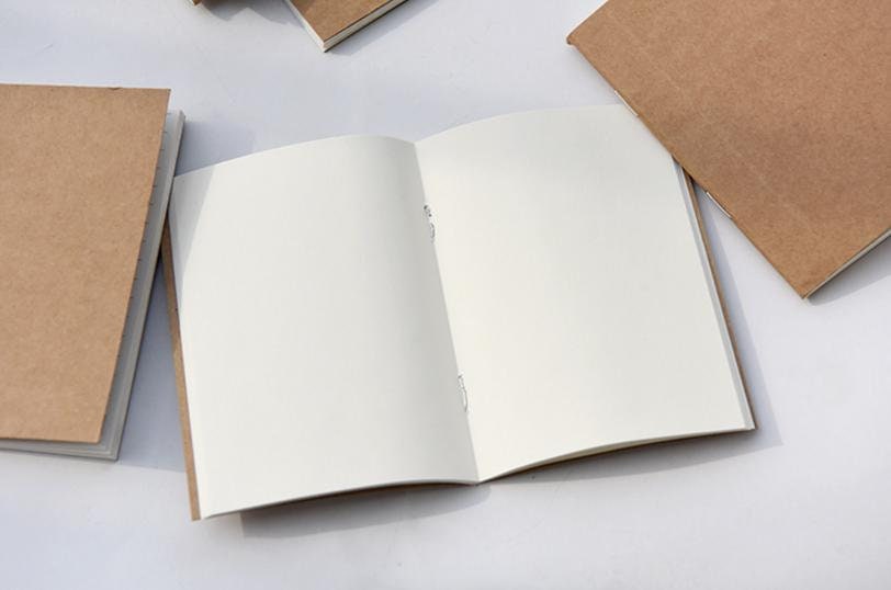 Passport travelers notebook insert blanco, weekly and monthly