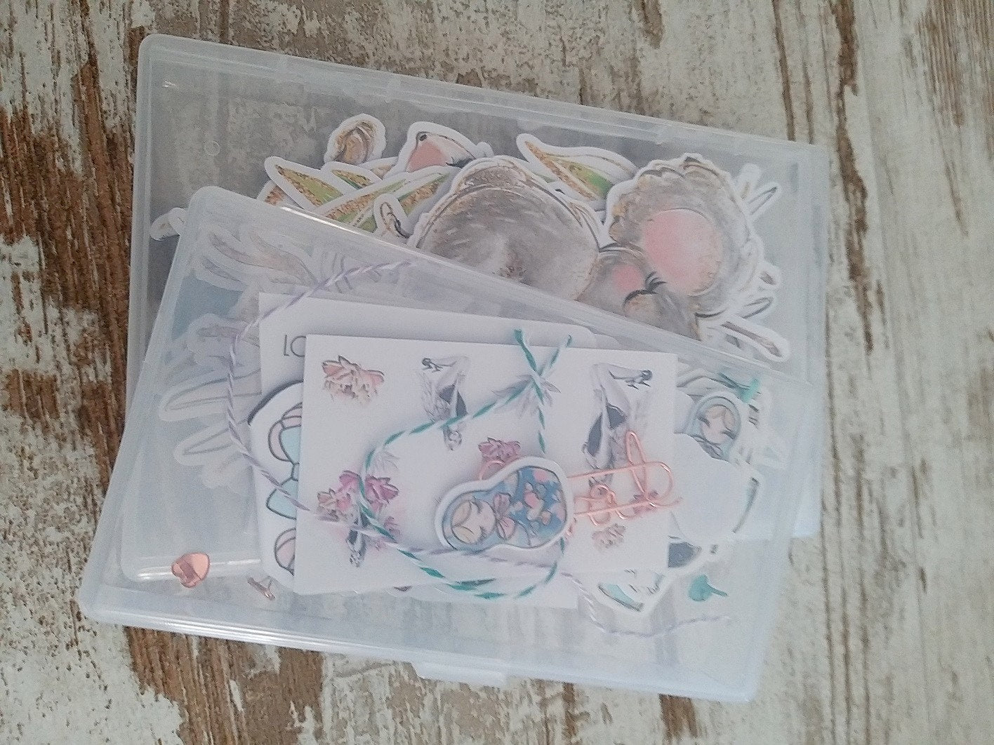 Ephemera / Die cuts storage set