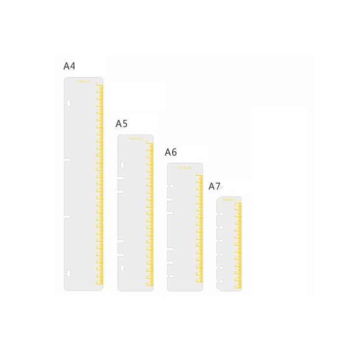 Ringbound rulers transparent/gold