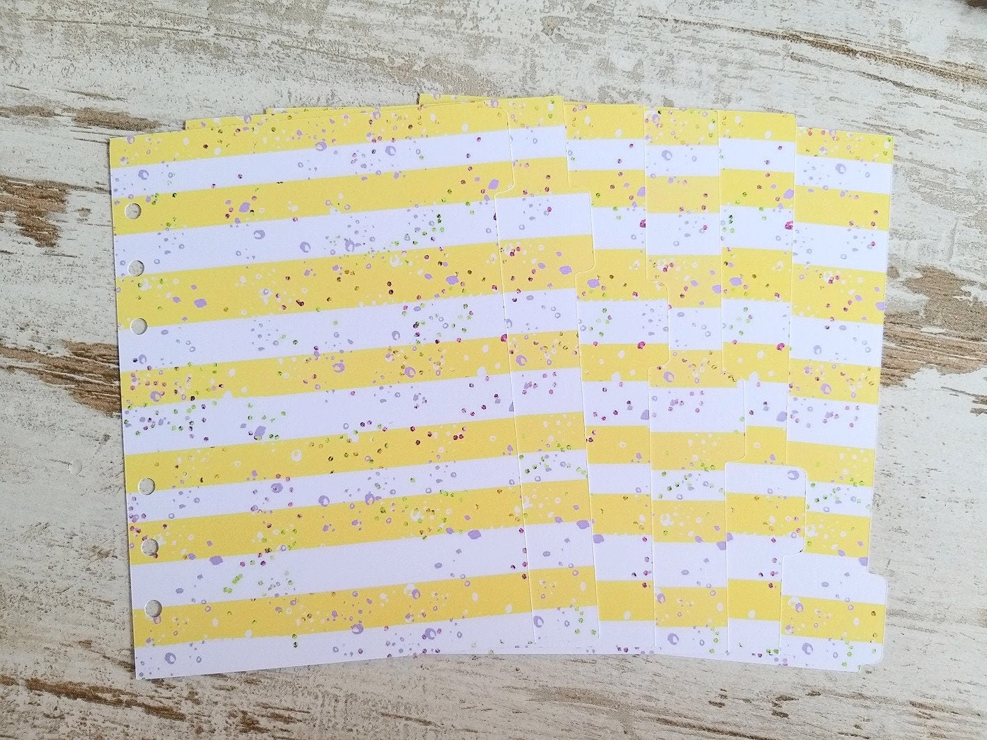 B6 LovedbyGaby dividers sets