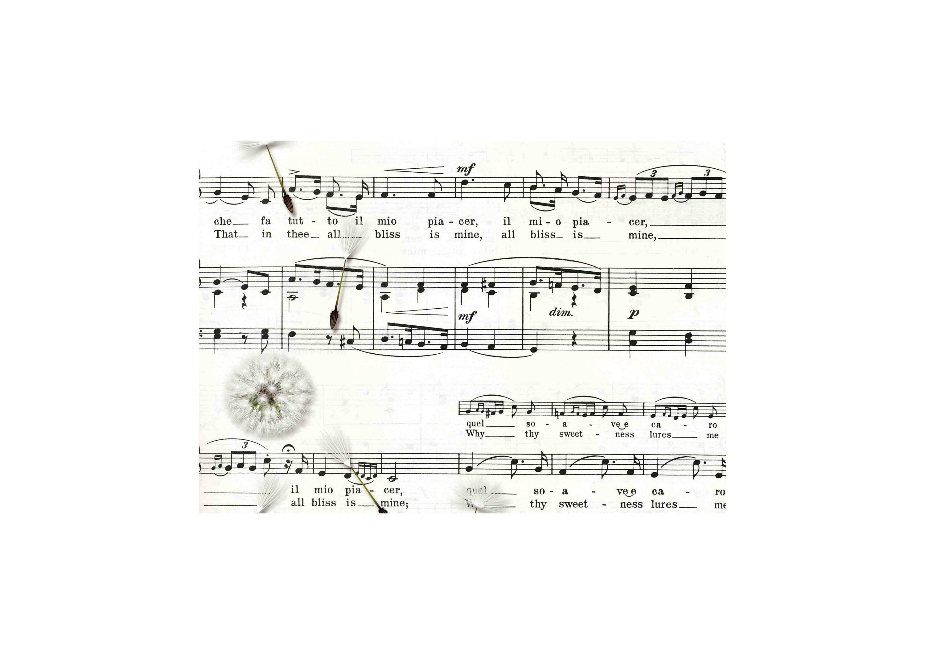 LovedbyGaby A4 vellum designs 15