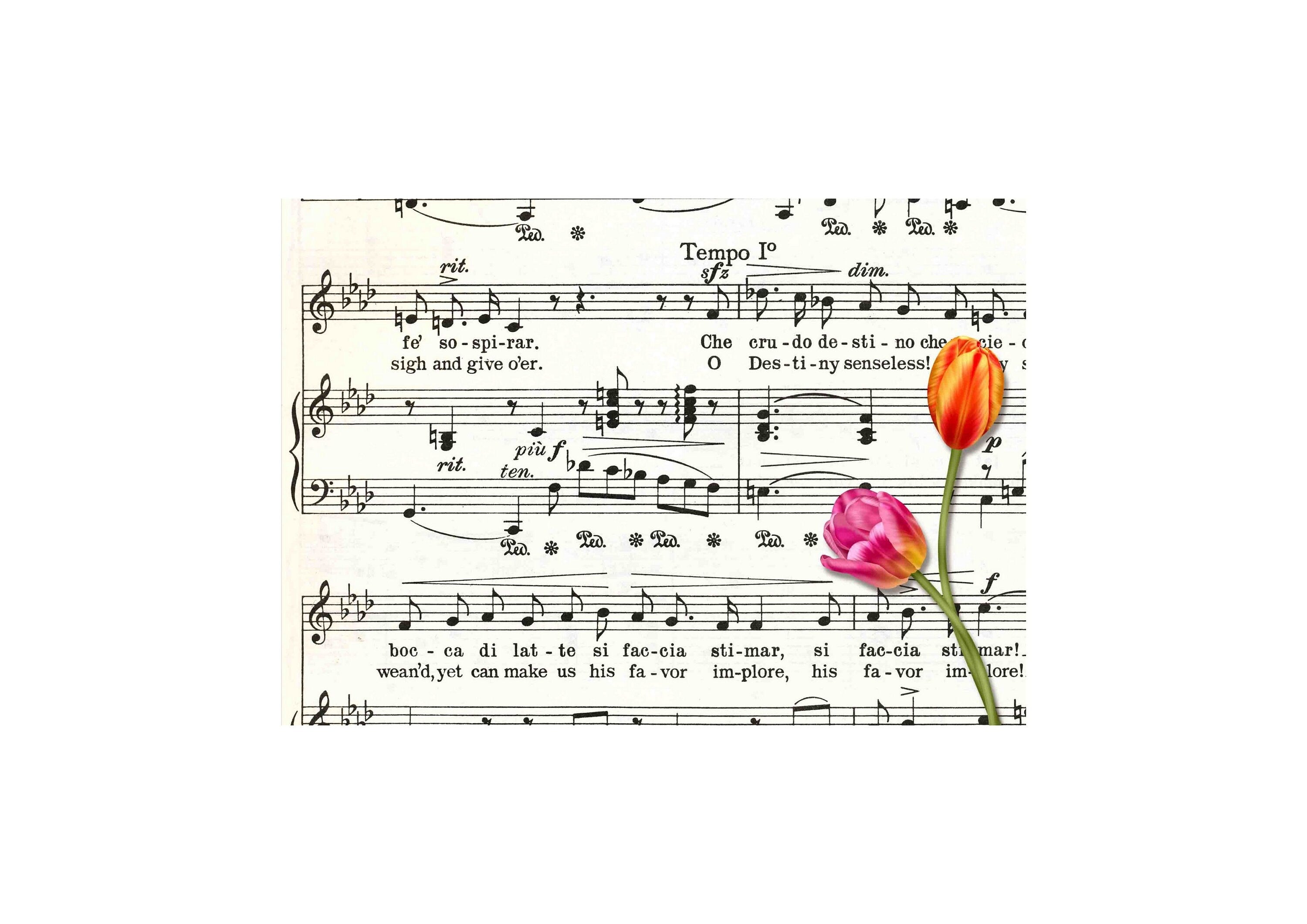 LovedbyGaby A4 vellum designs 15