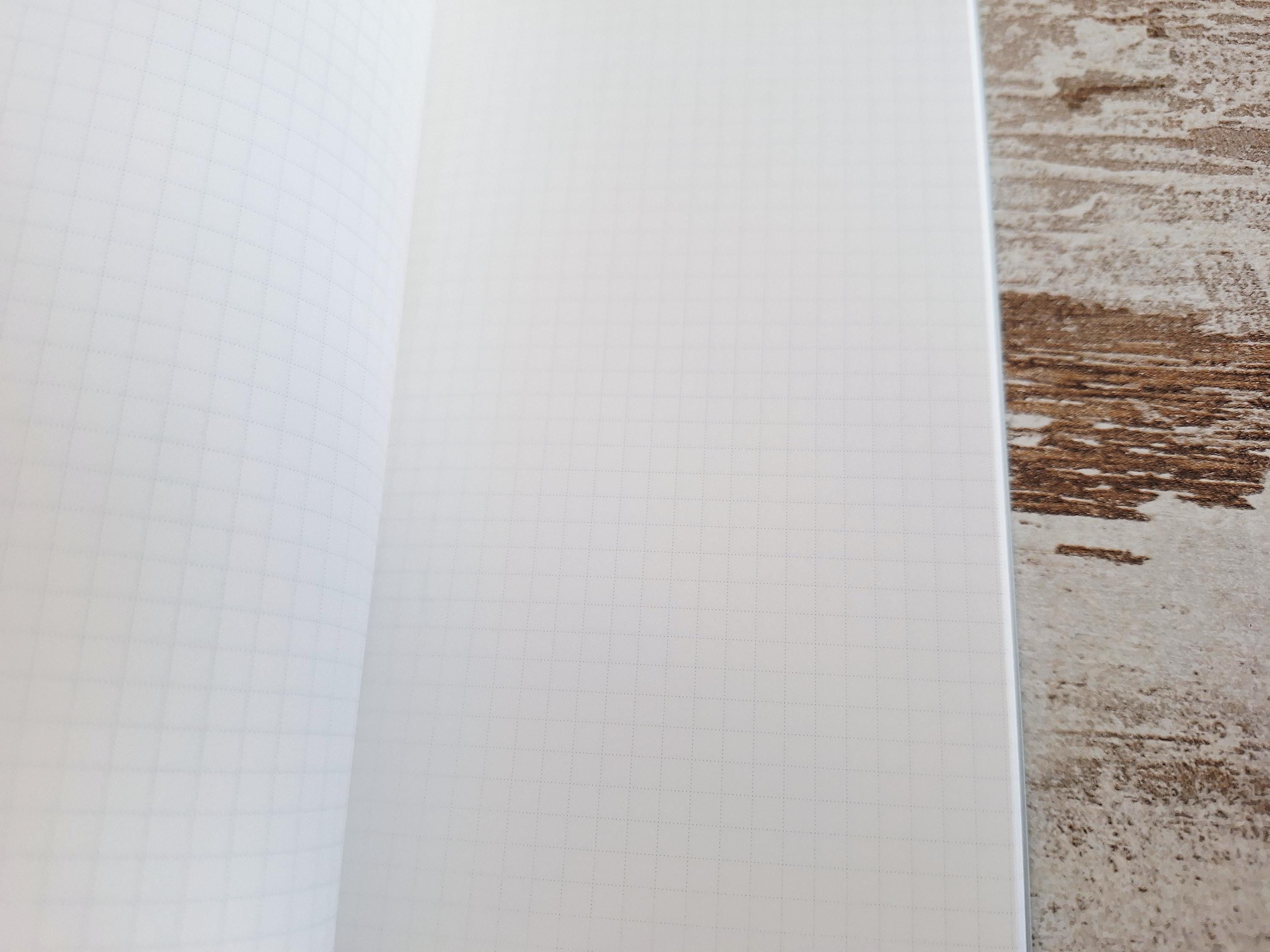Tomoe River notebooks medium