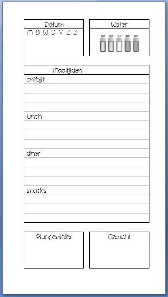 Health & sport inserts 1dpp personal