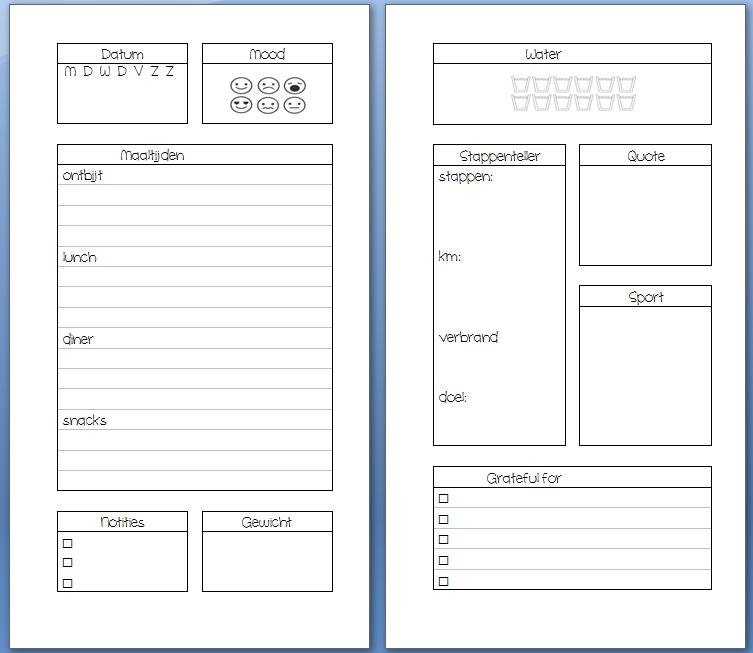 Personal Health and sport journal